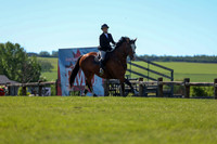 01377 - Shea - 2026 June Classic II - Friday June 19th
