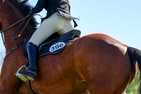 01380 - Shea - 2026 June Classic II - Friday June 19th