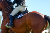 01381 - Shea - 2026 June Classic II - Friday June 19th