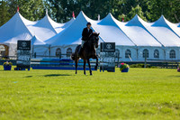 00497 - Shea - 2026 June Classic II - Friday June 19th