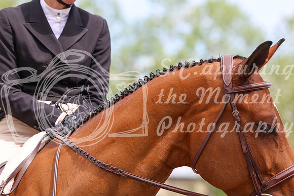 12720 - Shea - 2026 June Classic II - Friday June 19th