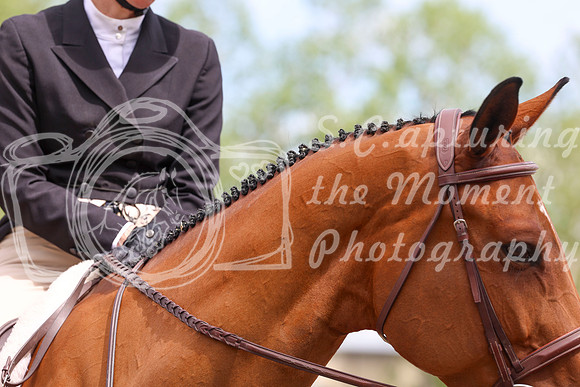 12722 - Shea - 2026 June Classic II - Friday June 19th
