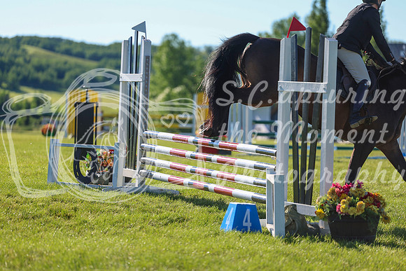 00504 - Shea - 2026 June Classic II - Friday June 19th