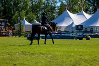 01007 - Shea - 2026 June Classic II - Friday June 19th
