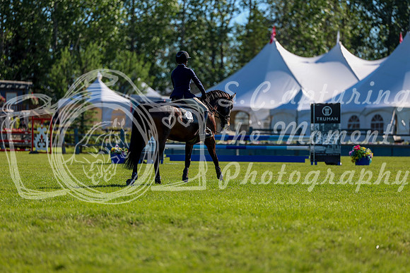 01008 - Shea - 2026 June Classic II - Friday June 19th