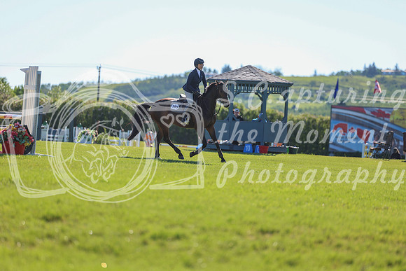 01014 - Shea - 2026 June Classic II - Friday June 19th