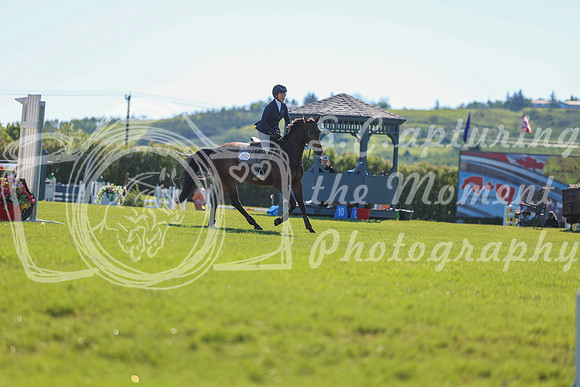 01015 - Shea - 2026 June Classic II - Friday June 19th