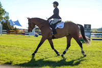 00105 - Shea - 2026 June Classic II - Friday June 19th