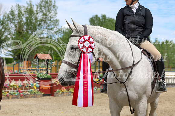 12807 - Shea - 2026 June Classic II - Friday June 19th