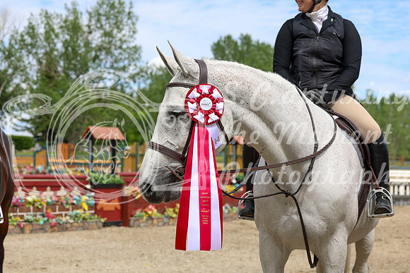 12808 - Shea - 2026 June Classic II - Friday June 19th