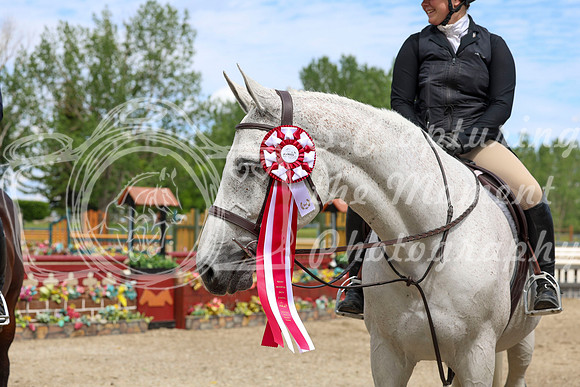 12810 - Shea - 2026 June Classic II - Friday June 19th
