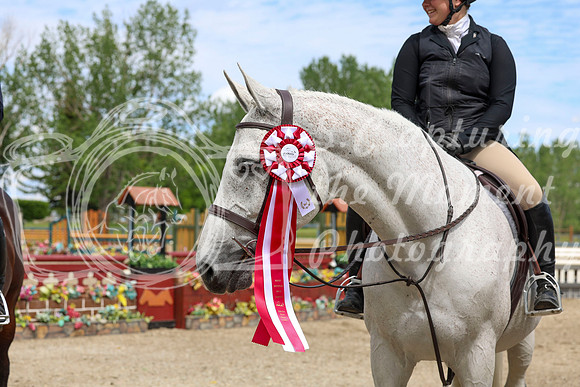 12811 - Shea - 2026 June Classic II - Friday June 19th