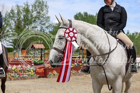 12812 - Shea - 2026 June Classic II - Friday June 19th