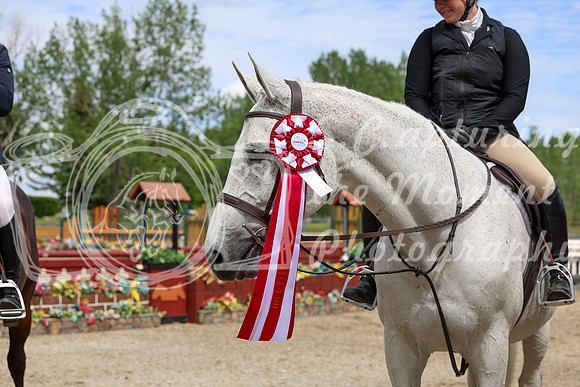 12814 - Shea - 2026 June Classic II - Friday June 19th