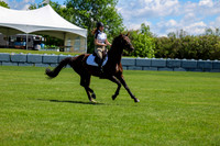 10431 - Shea - 2026 June Classic II - Friday June 19th