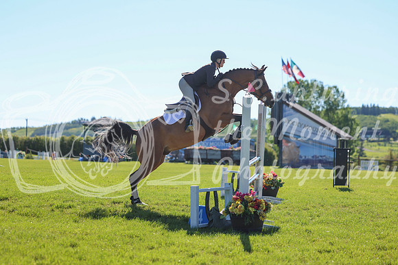 00954 - Shea - 2026 June Classic II - Friday June 19th