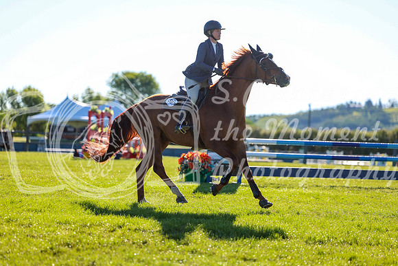 00016 - Shea - 2026 June Classic II - Friday June 19th