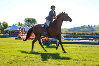 00017 - Shea - 2026 June Classic II - Friday June 19th
