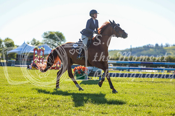 00017 - Shea - 2026 June Classic II - Friday June 19th