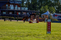 00020 - Shea - 2026 June Classic II - Friday June 19th