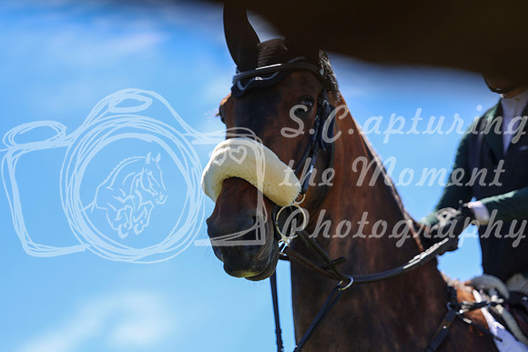 09795 - Shea - 2026 June Classic II - Friday June 19th