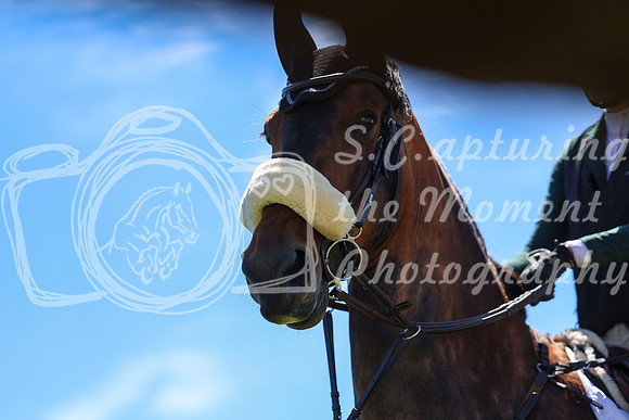 09796 - Shea - 2026 June Classic II - Friday June 19th