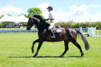 10031 - Shea - 2026 June Classic II - Friday June 19th