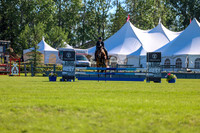 00920 - Shea - 2026 June Classic II - Friday June 19th