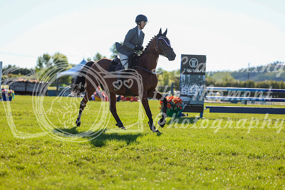 00181 - Shea - 2026 June Classic II - Friday June 19th