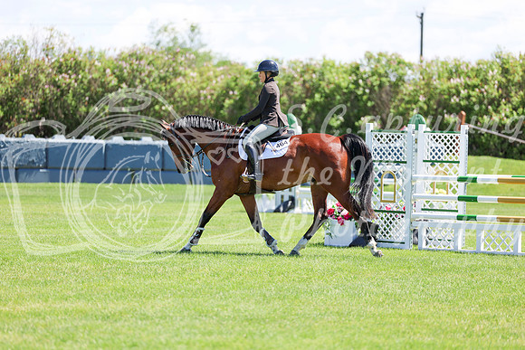 09963 - Shea - 2026 June Classic II - Friday June 19th