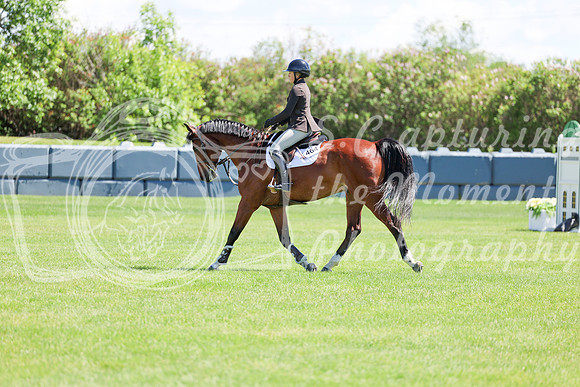 09966 - Shea - 2026 June Classic II - Friday June 19th