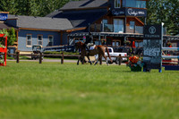 02853 - Shea - 2026 June Classic II - Friday June 19th