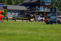 02855 - Shea - 2026 June Classic II - Friday June 19th