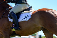 02865 - Shea - 2026 June Classic II - Friday June 19th