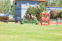 02871 - Shea - 2026 June Classic II - Friday June 19th