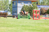 02872 - Shea - 2026 June Classic II - Friday June 19th