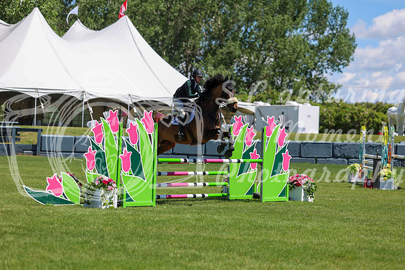 10099 - Shea - 2026 June Classic II - Friday June 19th