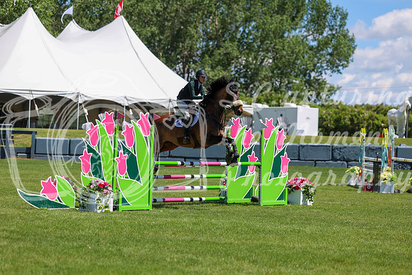 10100 - Shea - 2026 June Classic II - Friday June 19th