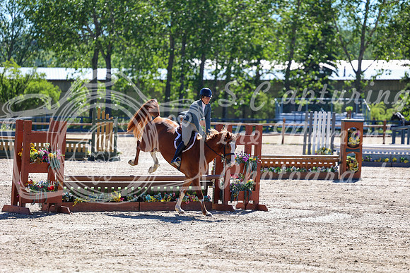 07736 - Mara - 2026 June Classic II - Friday June 19th
