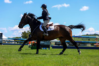 09675 - Shea - 2026 June Classic II - Friday June 19th