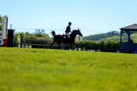01300 - Shea - 2026 June Classic II - Friday June 19th