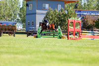 01313 - Shea - 2026 June Classic II - Friday June 19th