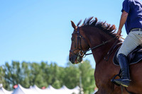 01940 - Shea - 2026 June Classic II - Friday June 19th