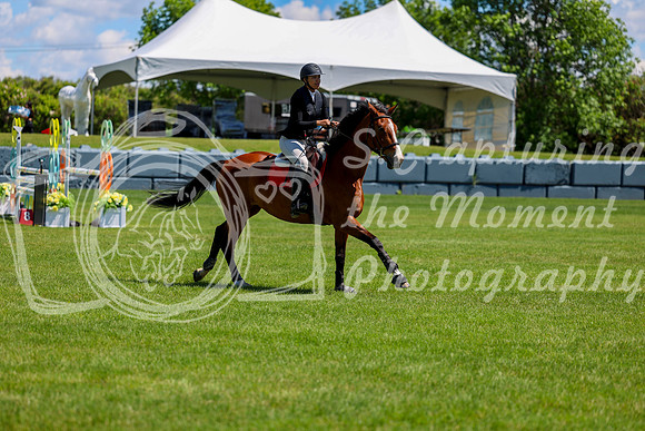 10491 - Shea - 2026 June Classic II - Friday June 19th