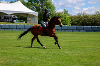 10494 - Shea - 2026 June Classic II - Friday June 19th