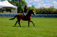 10496 - Shea - 2026 June Classic II - Friday June 19th