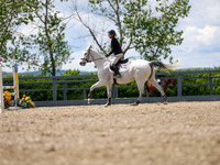 16384 - Mykenzi - 2026 June Classic II - Friday June 19th