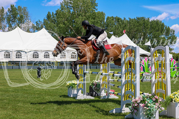 10522 - Shea - 2026 June Classic II - Friday June 19th