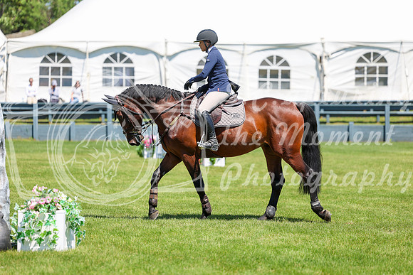 10719 - Shea - 2026 June Classic II - Friday June 19th