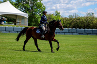 10729 - Shea - 2026 June Classic II - Friday June 19th
